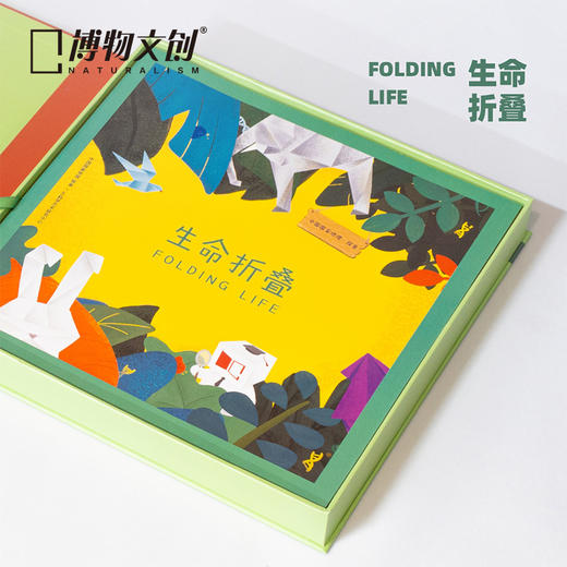 博物文创 生命折叠折纸玩具礼盒儿童节礼物早教科普益智 商品图2