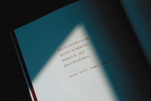 《积厚成势：中国司法的制度逻辑》丨非签名本 商品图2