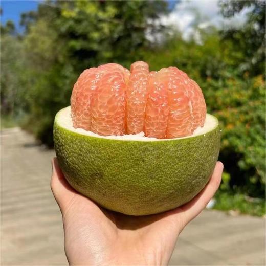泰国顶级翡翠红心柚 | 进口水果 商品图2