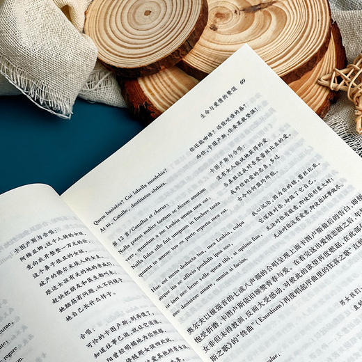 世界的声音 台湾诗人 翻译家陈黎 古典乐歌剧入门书 乐评 商品图5