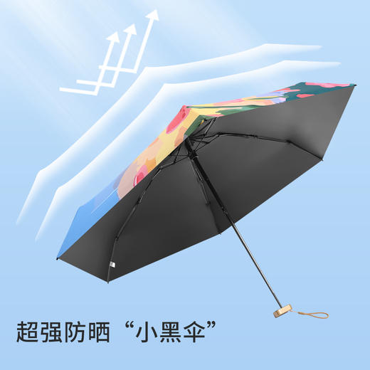 油画黑胶伞，晴雨两用，小巧便携
 商品图4