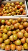 海阳水果西红柿 自然熟 适合生吃，排单发货中，不接急单 商品缩略图5