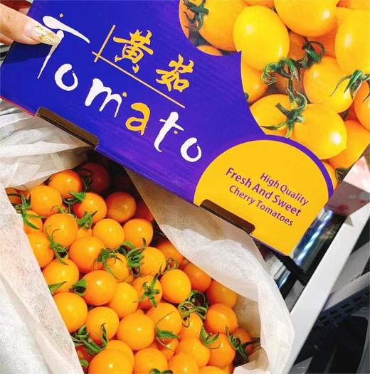 超甜3A级别黄茹番茄 |水果 商品图0