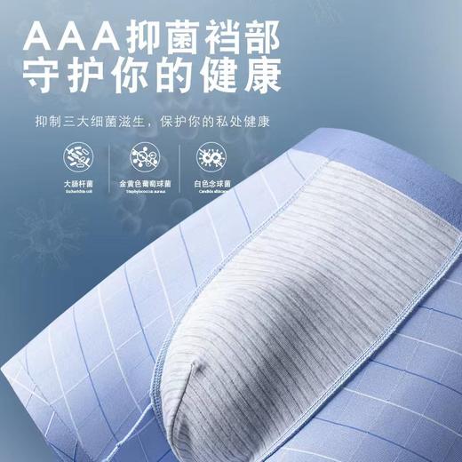 男士锦纶冰丝轻盈格纹裤抑菌平角内裤43004 商品图2