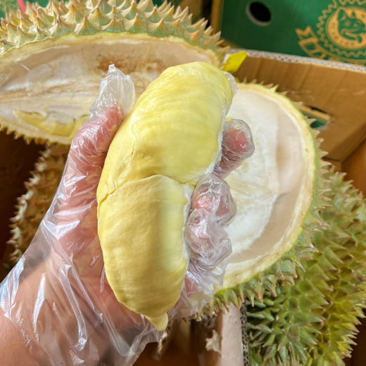 【树上熟榴莲】泰国空运 树熟 高品质金枕榴莲，不抹药催熟，自然成熟，最原味的树熟味道，香味更足！ 商品图5