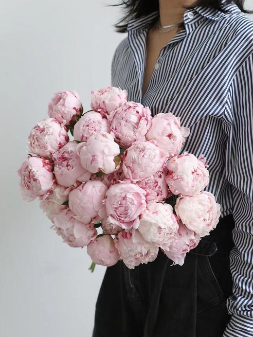 【预售！4.20起陆续发出】莎拉【知足且上进，温柔且坚定】 经典荷兰进口品种粉芍药- 莎拉·伯恩哈特  顺丰空运直发 商品图11