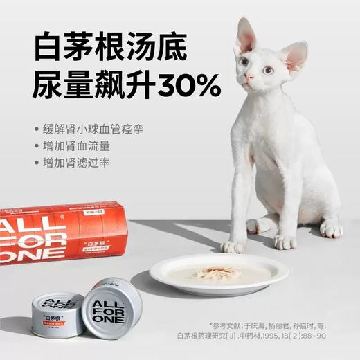 万物一口猫罐头白茅根罐头补水利尿汤罐嘘嘘罐成猫零食罐营养湿粮 商品图3