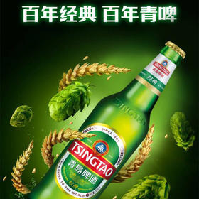 青岛啤酒经典8度