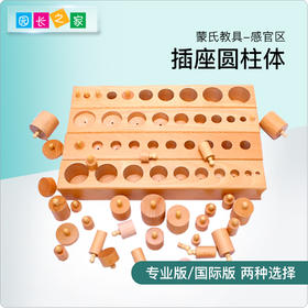 蒙氏感官区教具幼儿园家庭版蒙特梭利儿童早教益有柄插座圆柱体