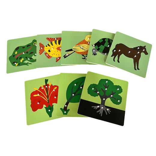 蒙氏早教教具动植物嵌板1-3-6岁儿童拼图玩具手抓板木质形状拼板 商品图4