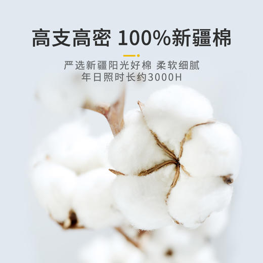 佳丽斯四件套纯棉全棉100床上用品被套床品被单ins床单三件套夏季 商品图5