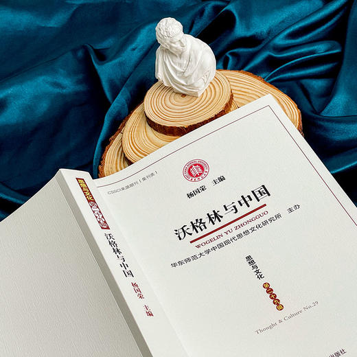 沃格林与中国 《思想与文化》第二十九辑 杨国荣 商品图4