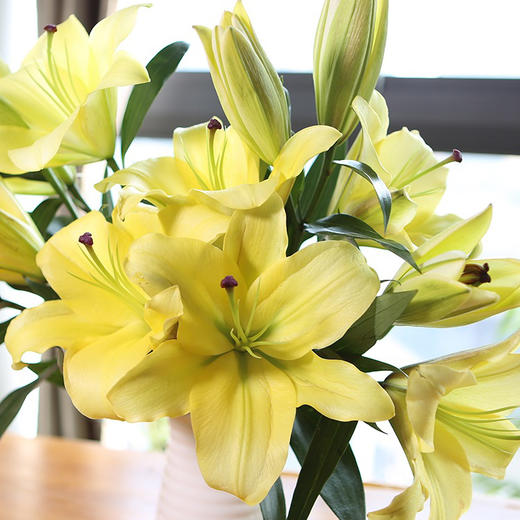 黄天霸百合靓丽的明黄色洁净无瑕，硕大的花型，惊艳的无法抵御百合花香四溢，有馥郁的花香绽放时，香气满屋一束10头，10支 商品图3
