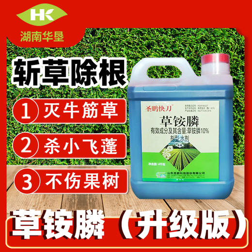 草铵膦除草剂草胺磷草铵磷除草烂根剂草安磷农药正品果园除草杂草 商品图2