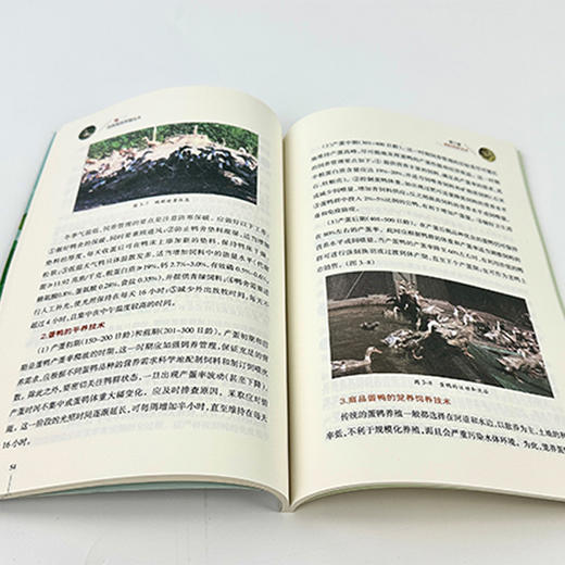 鸭优质高效养殖技术 商品图3