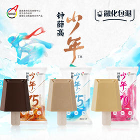 钟薛高“少年系列”轻语话梅茉香清茶清盈可可冷饮低糖低脂冰激凌雪糕