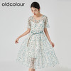 oldcolour2023夏季新款清新淡雅收腰显瘦碎花连衣裙女GN21101727 商品缩略图2