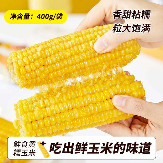 邻家饭香 东北鲜食黄糯玉米 200g/穗 2穗/袋 黑土地黄金玉米带种植LJFX24-Y 商品图4