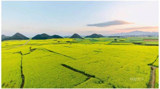 3月民俗节庆—弥勒祭火节： 云贵花“火”——云南罗平油菜花、九龙瀑布、螺丝田、弥勒祭火节+贵州平坝樱花、毕节九洞天、兴义万峰林、马岭河大峡谷摄影采风团4—10天 商品图1