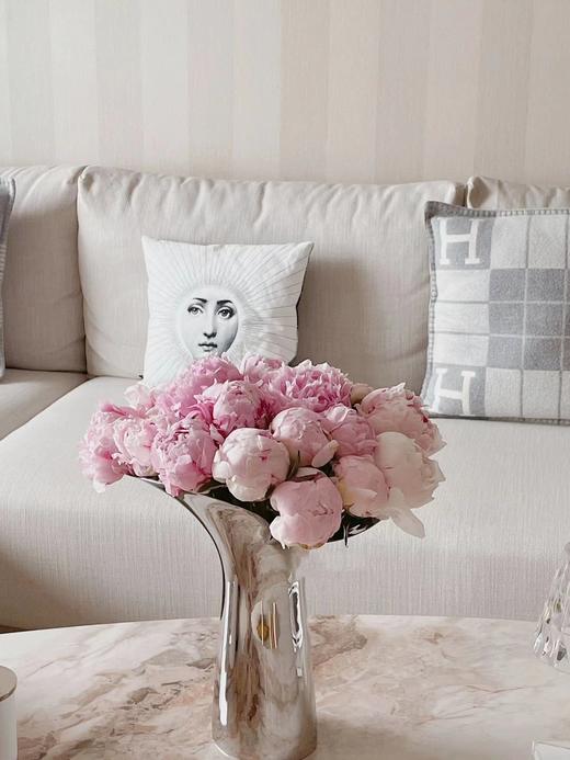 【预售！4.20起陆续发出】莎拉【知足且上进，温柔且坚定】 经典荷兰进口品种粉芍药- 莎拉·伯恩哈特  顺丰空运直发 商品图14