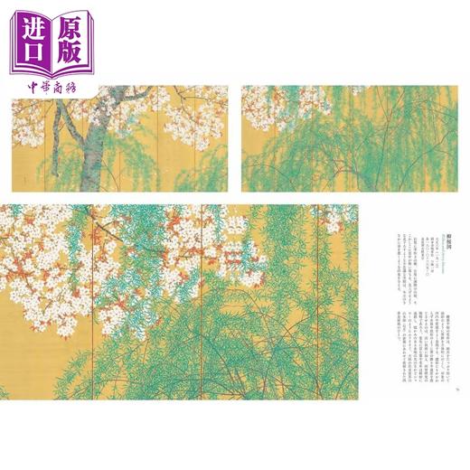 【中商原版】木岛樱谷绘画集 画三昧之道 进口艺术 木岛樱谷 画三昧への道 木岛樱谷 実方叶子 东京美术 日文原版 商品图3