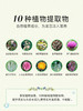 黛丝恩 植萃洗发水480ml 商品缩略图3