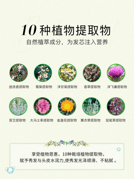 黛丝恩 植萃洗发水480ml 商品图3