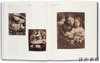 Julia Margaret Cameron: Photographs to electrify you with delight and startle the world / 朱丽娅·玛格丽特·卡 商品缩略图3