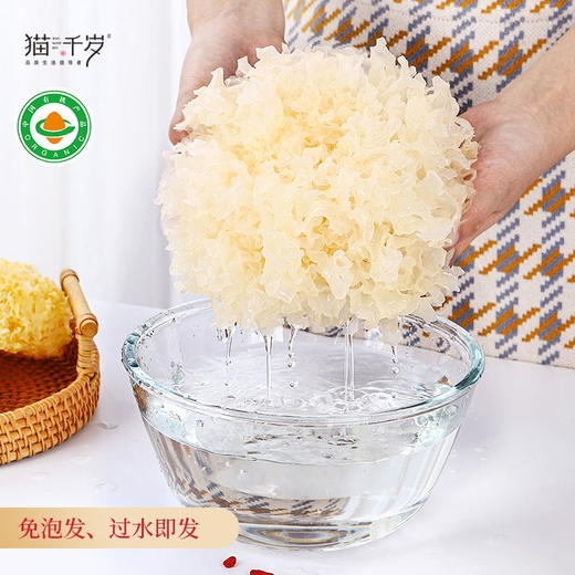 猫千岁√有机干银耳6朵，低温烘干技术7斤出1斤1朵30g泡发近半斤鲜银耳！ 商品图7