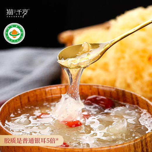猫千岁√有机干银耳6朵，低温烘干技术7斤出1斤1朵30g泡发近半斤鲜银耳！ 商品图2
