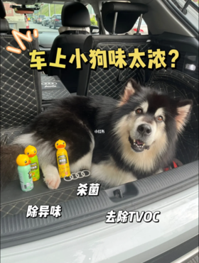 小狗味再浓也不怕啦～