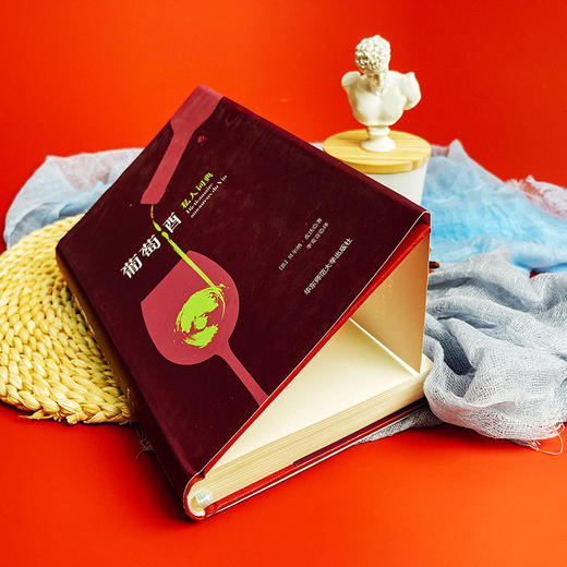 葡萄酒私人词典 私人词典系列 六点图书 商品图5