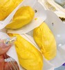 泰国软金月榴莲 |进口水果 商品缩略图0