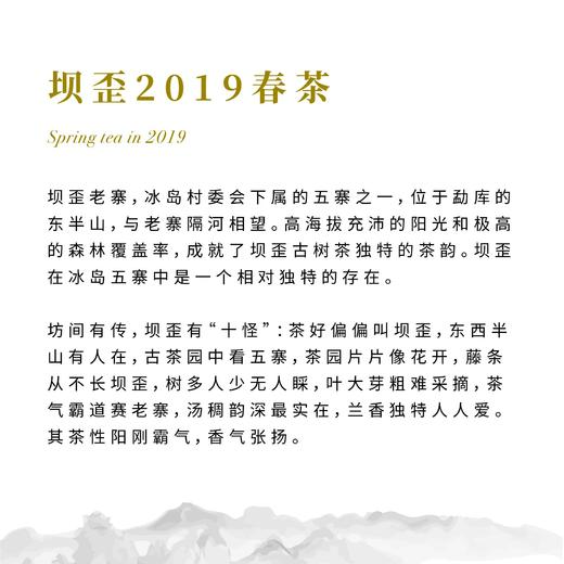 【昀茶·普洱系列】沉寂·2019年坝歪普洱生茶 200g/饼 茶性阳刚霸气 香气张扬 汤稠韵深 兰香独特 商品图12