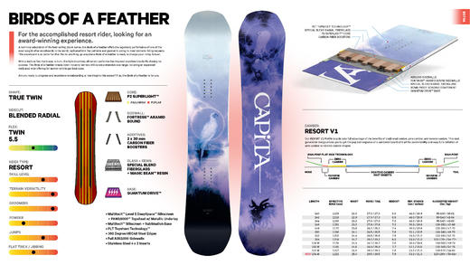 Capita 23-24 【BIRDS OF A FEATHER】 RESORT 全能雪板 140 142 144 146 148 150 商品图3