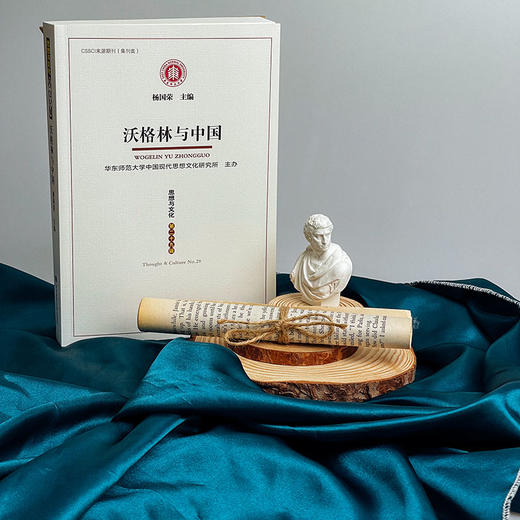 沃格林与中国 《思想与文化》第二十九辑 杨国荣 商品图1