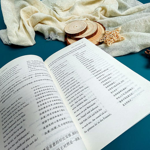 世界的声音 台湾诗人 翻译家陈黎 古典乐歌剧入门书 乐评 商品图9