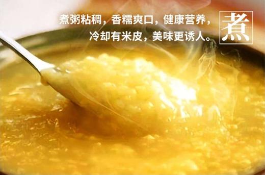 有机杂粮～山西灵丘 田脊梁有机农场 商品图8