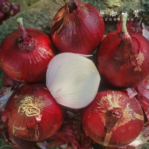 生态水果紫洋葱（基地直发-顺丰包邮）｜3斤/5斤/箱， 来自云南元谋，生产者：洪炜【合作生产，公平贸易】 商品图7