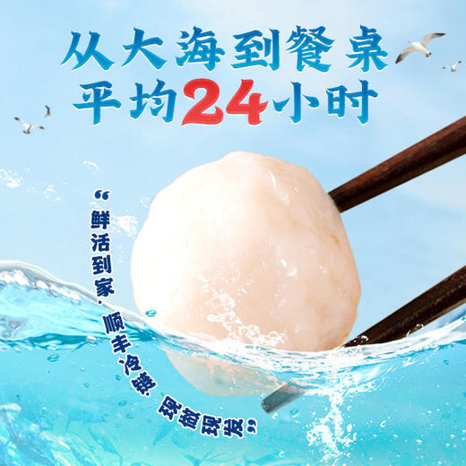 【节目同款】潮汕低脂鱼丸 香味浓郁 口感Q弹 非遗传承工艺 始于1862年 广东老字号  128g*6包 商品图1