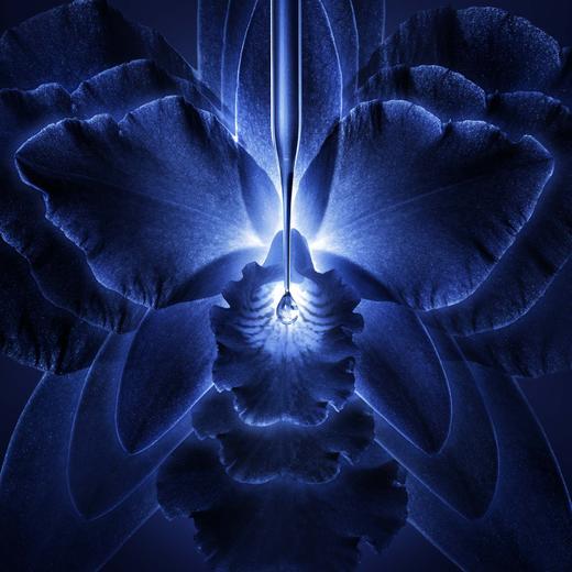 法国 Guerlain娇兰 御廷兰花卓能焕活修护传奇面霜 50ml 商品图4