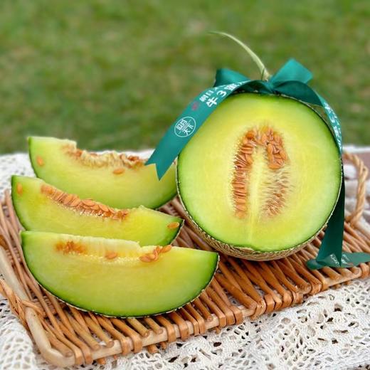 海南牛3网纹哈蜜瓜 |水果 商品图2