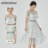 oldcolour2023夏季新款清新淡雅收腰显瘦碎花连衣裙女GN21101727 商品缩略图1