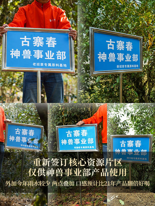 【仅供展示】【神兽—青龙】超越纯料老班章的存在，神兽事业部独立出品高奢品牌 商品图1