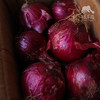 生态紫皮洋葱 | 合作生产* Eco-purple onion | Partner Production 商品缩略图2