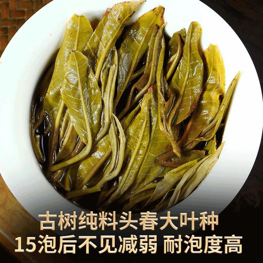 2023春茶 吉顺号古400临沧梅子箐普洱茶生茶饼茶叶357g 商品图5