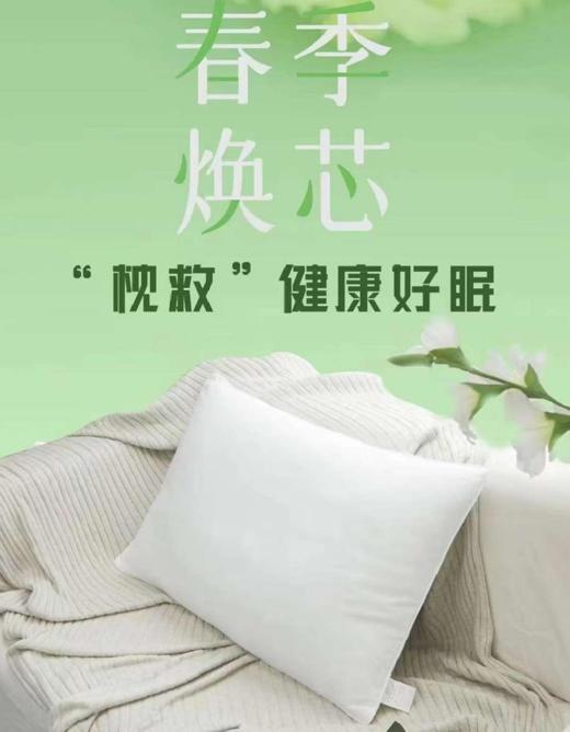 【团购展示】恒源祥梦馨纤维枕 HYX031ZX 商品图0