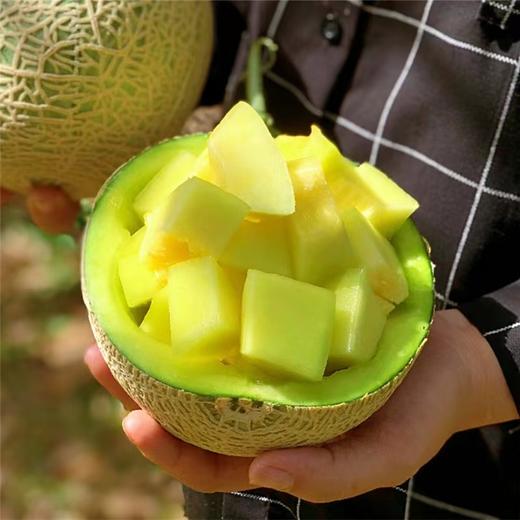 海南牛3网纹哈蜜瓜 |水果 商品图0