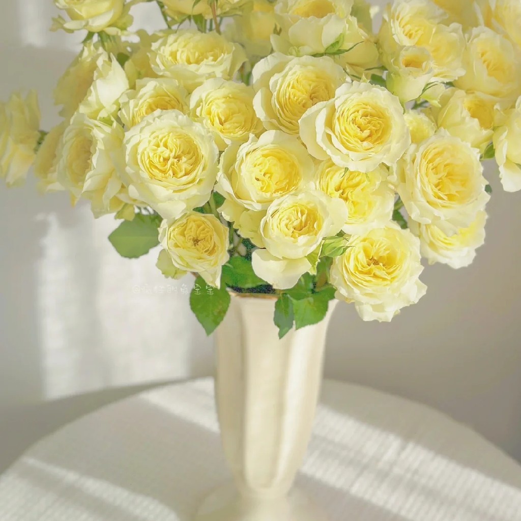 国产玫瑰-多头玫瑰-暖暖-10支