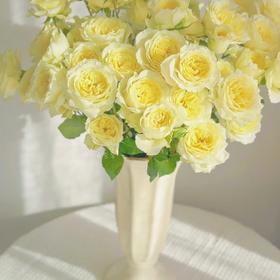 国产玫瑰-多头玫瑰-暖暖-10支